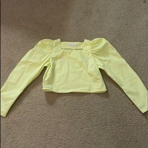 Oliviaceous yellow top